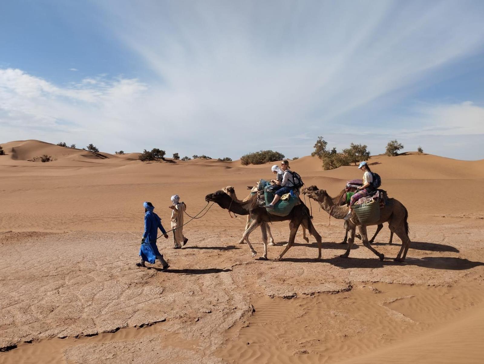 Kasbah Desert Camp มามิด ภายนอก รูปภาพ