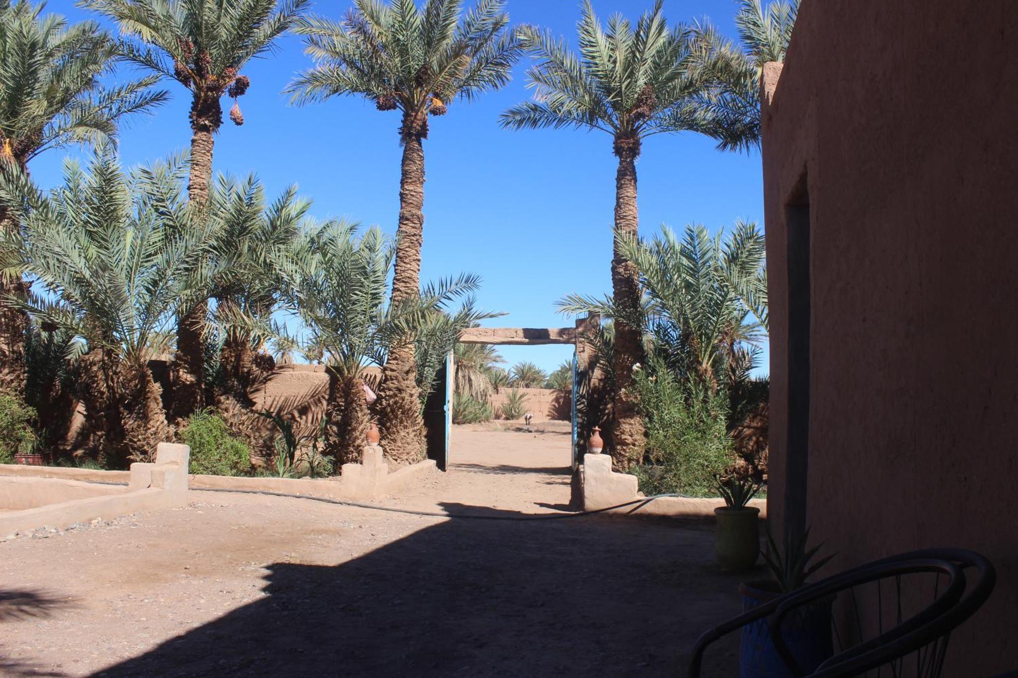 Kasbah Desert Camp มามิด ภายนอก รูปภาพ