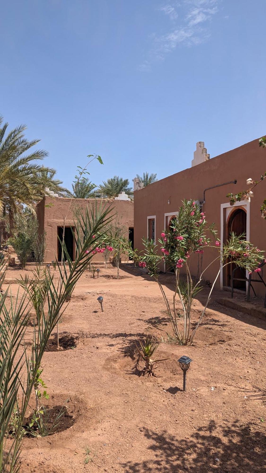 Kasbah Desert Camp มามิด ภายนอก รูปภาพ