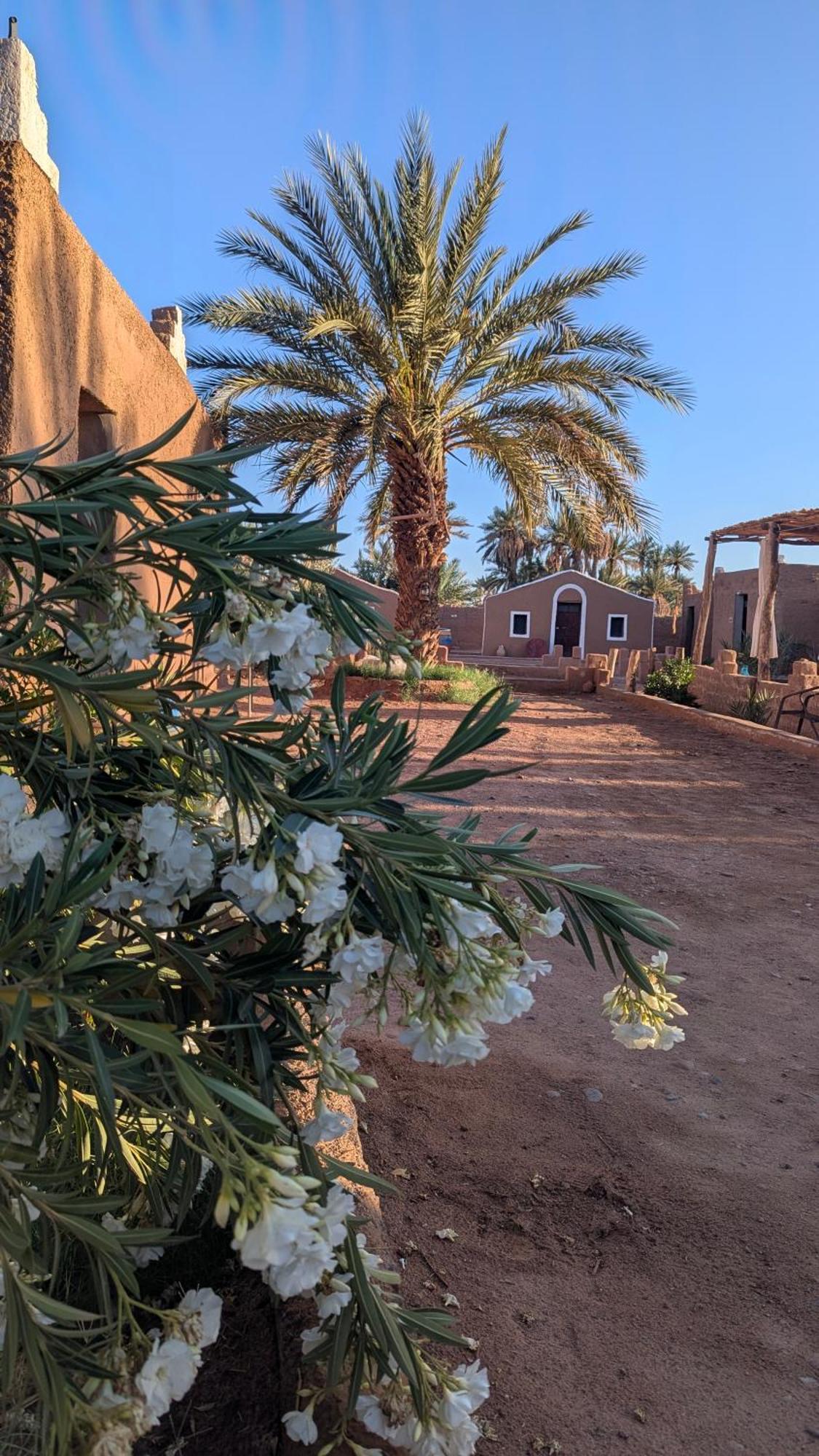 Kasbah Desert Camp มามิด ภายนอก รูปภาพ