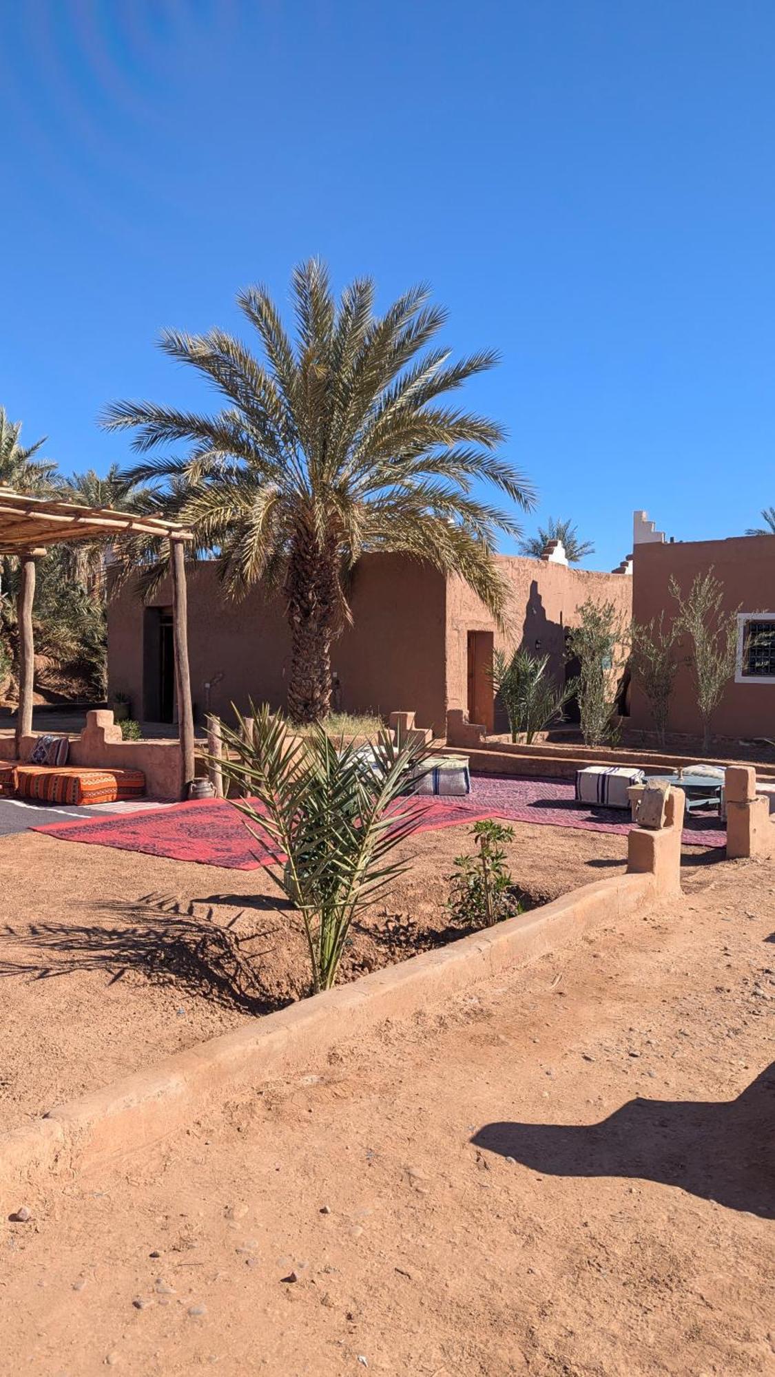 Kasbah Desert Camp มามิด ภายนอก รูปภาพ